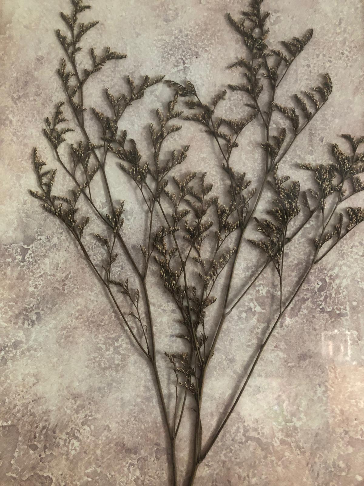 CUADRO RÚSTICO CAÑAMO